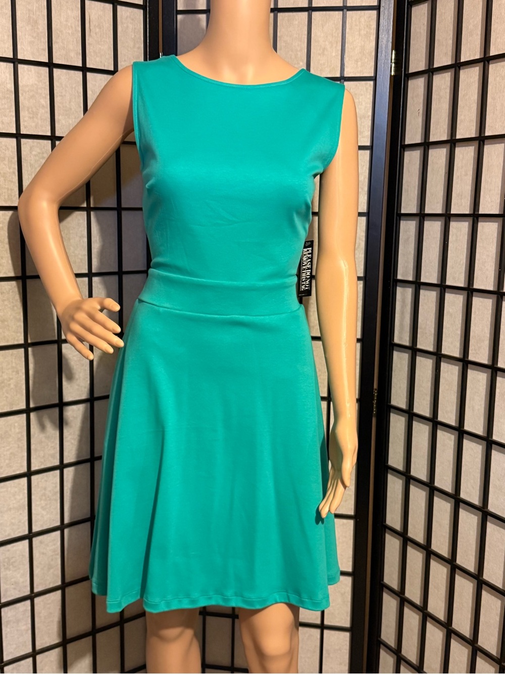 New York & Company Teal Sleeveless Fit-and-Flare Mini Dress